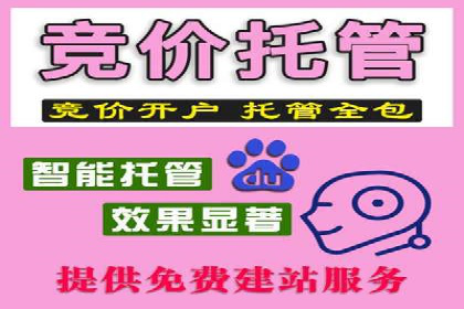 掌握开户高返点技巧：成功案例解读